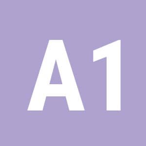 A1